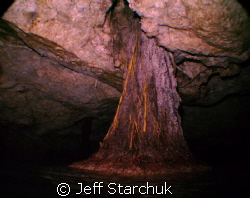 Cenotes of the Yukatan. In an airspace the roots of this ... by Jeff Starchuk 
